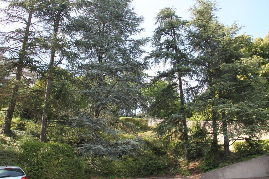 Les Hauts De Perrache Bed & Breakfast Sainte-Foy-lès-Lyon Екстериор снимка